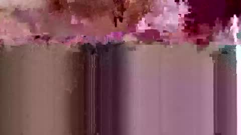 sigmaelixer online show from 17, 5, 2026