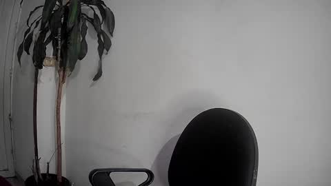 Snapshot of silviecollins chatting on 2, 12, 2024 Silvie online show from 2, 12, 2024