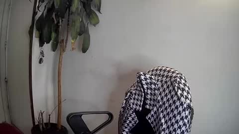 Snapshot of silviecollins chatting on 7, 1, 2025 Silvie online show from 7, 1, 2025