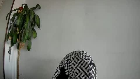 Snapshot of silviecollins chatting on 27, 1, 2025 Silvie online show from 27, 1, 2025