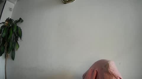 Snapshot of silviecollins chatting on 15, 2, 2025 Silvie online show from 15, 2, 2025