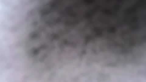 simpsznn online show from 24, 2, 2026