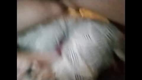 sinbook611 online show from 23, 10, 2025