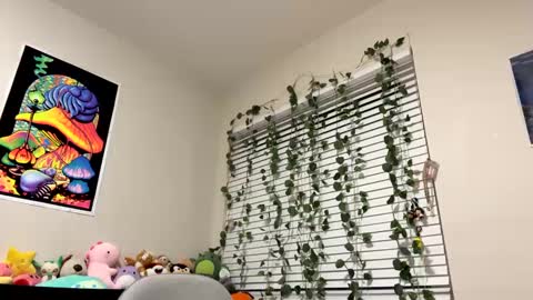 Sincerelyneon online show from 10, 1, 2025