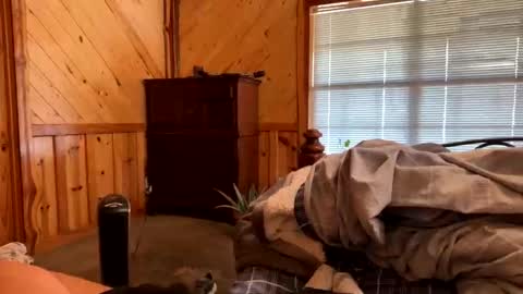 sinfull2022 online show from 1, 2, 2026