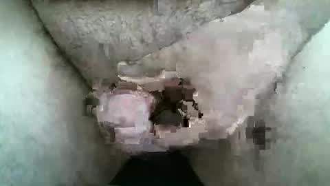 HardNSouthern online show from 9, 3, 2026