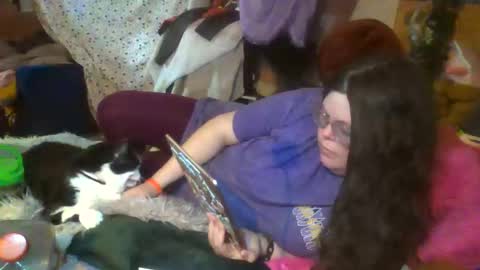 Siofra online show from 24, 3, 2026