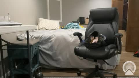 sissyryan3 online show from 21, 1, 2025