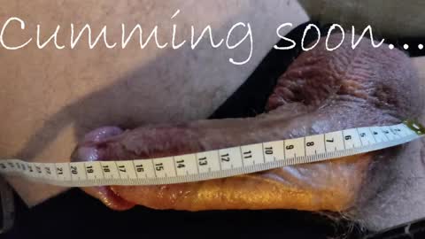 Size King  online show from 5, 4, 2026