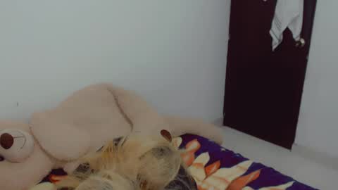 Arlett online show from 20, 4, 2026