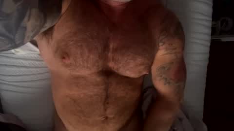 BEEF online show from 9, 12, 2024