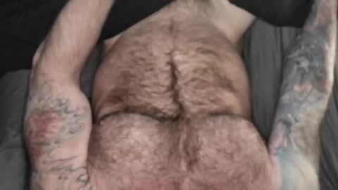 BEEF online show from 18, 3, 2026