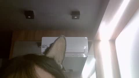 skinnykittencam online show from 17, 7, 2026