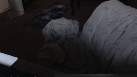 SKYLE   online show from 19, 12, 2024