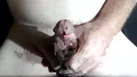 Snapshot of slash1710 chatting on 4, 2, 2026 Z online show from 4, 2, 2026