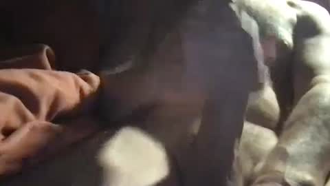 slienthear83 online show from 14, 1, 2025