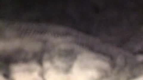 Durk Diggler online show from 24, 2, 2025