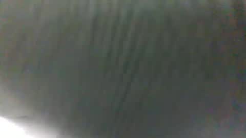Snapshot of slothslav chatting on 31, 1, 2025 slothslav online show from 31, 1, 2025