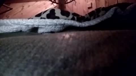 slurryyy online show from 29, 3, 2026