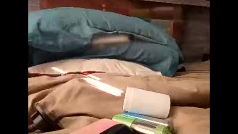 Nastyguurl online show from 30, 3, 2026