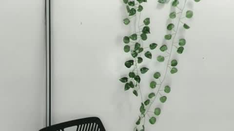 Julia online show from 9, 10, 2025