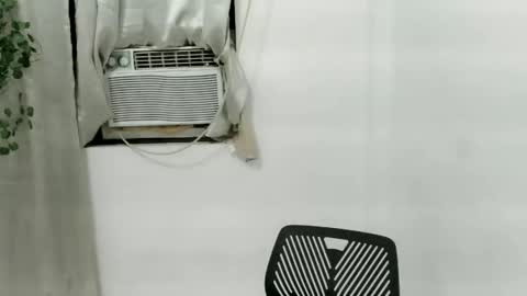 Julia online show from 25, 11, 2025