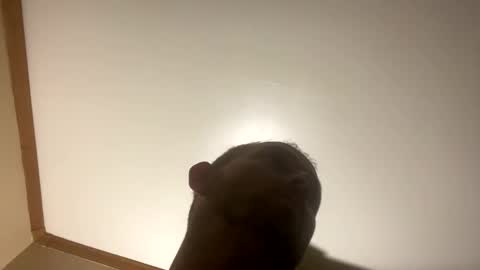 smokeymt420 online show from 8, 3, 2025