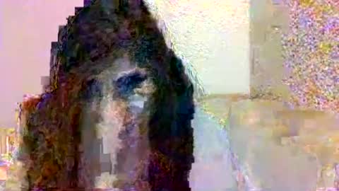 smurdle online show from 25, 10, 2025