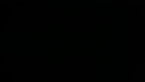 happy man online show from 14, 12, 2024