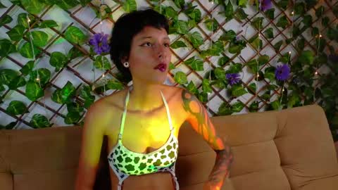 snner_velvet online show from 2, 5, 2026