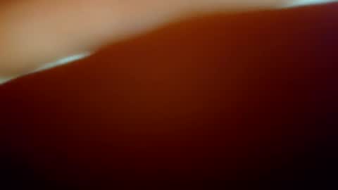 snopchat1234 online show from 2, 2, 2026