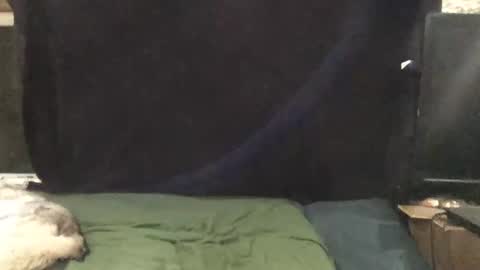 Riley Ray online show from 1, 11, 2025