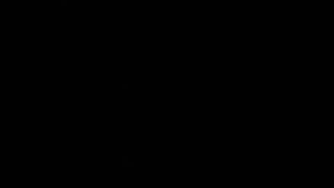 snp__useeitsfun online show from 10, 11, 2025