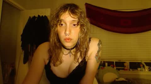 Lilytea online show from 2, 11, 2025