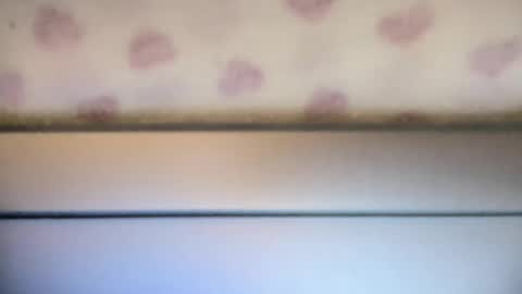 Snapshot of sofia8428 chatting on 22, 9, 2025 sofia8428 online show from 22, 9, 2025