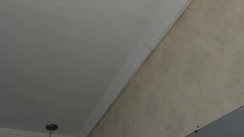 Sofi - next broadcast today 1030pm Colombia time online show from 26, 2, 2025