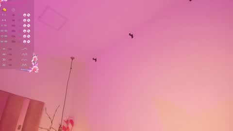 Sofie online show from 27, 12, 2024
