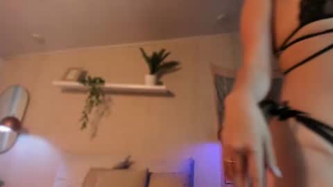 sofii_wild online show from 19, 6, 2026