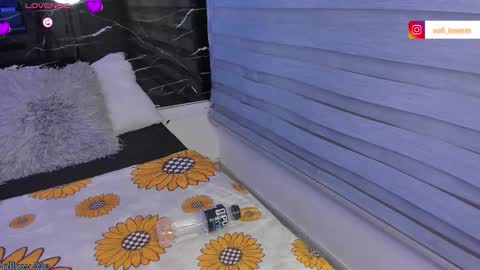 Sofia online show from 11, 3, 2026