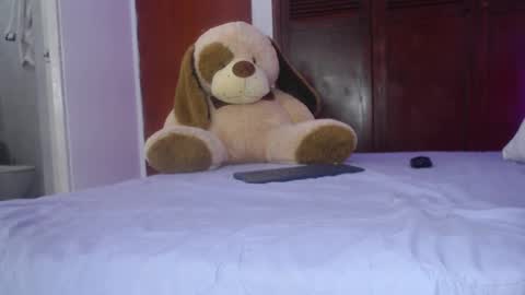   online show from 12, 9, 2025