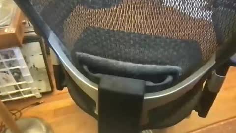 soflastiffyboy69 online show from 17, 5, 2026
