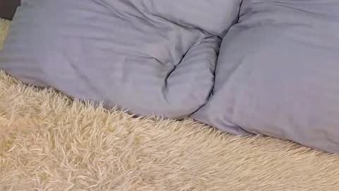 Milisa online show from 2, 3, 2025