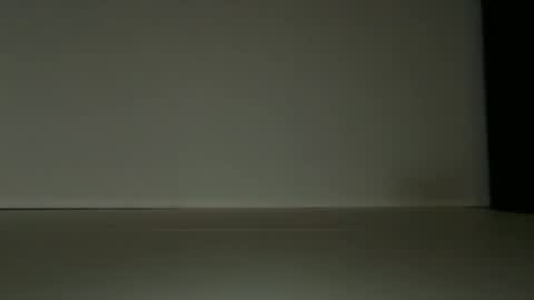 L4 online show from 19, 6, 2026