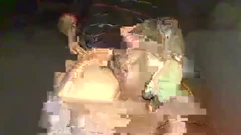Snapshot of solid_flow chatting on 18, 5, 2026 solid_flow online show from 18, 5, 2026