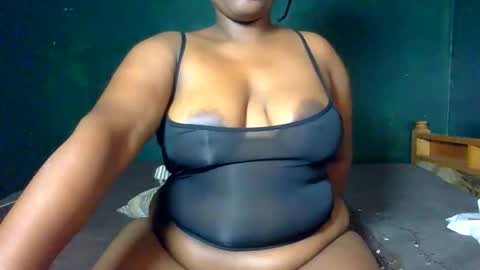 Solly bunny online show from 12, 3, 2026