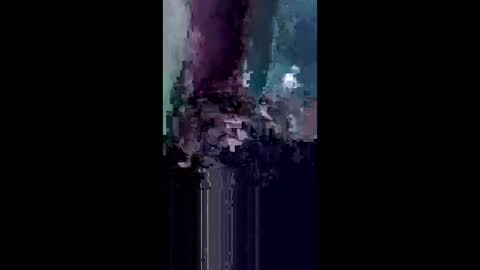 solotu156871 online show from 12, 1, 2026