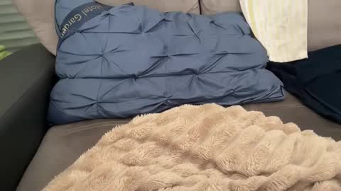 Snapshot of sombre_sdelices chatting on 28, 2, 2026 Tayla online show from 28, 2, 2026