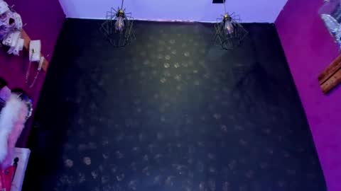 Alexa online show from 12, 2, 2026