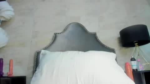 Snapshot of sophia_models chatting on 24, 6, 2026 Sophia online show from 24, 6, 2026