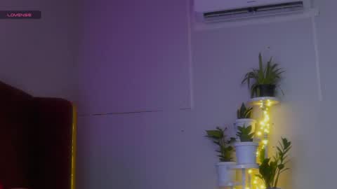 Sophia online show from 4, 4, 2026